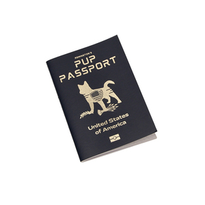 Bán buôn Nhà máy cung cấp trực tiếp tùy chỉnh cuốn sách hộ chiếu in ấn cho trẻ em và người lớn - Product Image 5