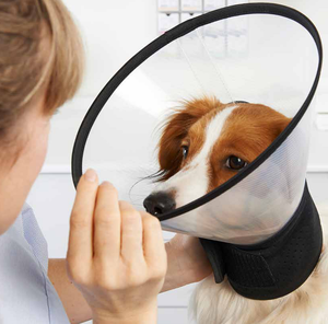 Kerah pemulihan hewan peliharaan plastik katun bulu polos <span class=keywords><strong>7</strong></span> ukuran kerah pelindung nyaman untuk anjing kucing - Product Image 2