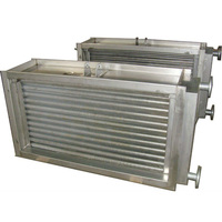 Radiateur à vapeur sur mesure pour améliorer l'efficacité de la déshydratation des noix et des fruits en tranches pour les usines de transformation de matières premières pour snacks