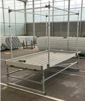 Banc hydroponique mobile à flux et reflux avec système de rails roulants pour serre commerciale