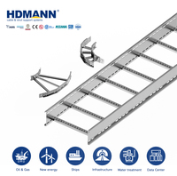 Échelle à câbles en acier au carbone électrogalvanisé robuste Hdmann homologuée CE 400 mm pour la distribution de câbles électriques dans les fermes solaires