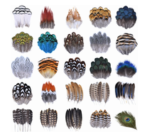 Plumes de faisan naturelles en gros, plumes de paon, petites plumes d'aigle, accessoires d'artisanat, création de bijoux, décoration de fêtes