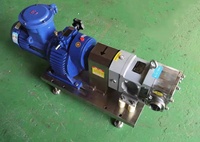 Pompe rotative à haute viscosité, sanitaire, en acier inoxydable, pour moulage de miel