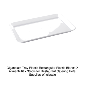 Plateau en plastique Giganplast, rectangulaire, en plastique Bianca X Alimenti, 46 x 30 cm, pour la restauration, les hôtels, les fournitures en gros - Product Image 2