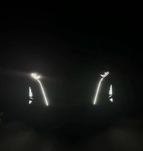 Accesorios Nuevos para BYD Denza-D9, Modificación de Rejilla Delantera Central con Luces de Circulación Diurna LED Negras ABS+LED, Intermitentes Mejorados - Product Image 3