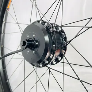 Nueva llegada Motor de cubo de rueda de dos rondas Kit de Motor de bicicleta eléctrica de rueda trasera de 20 pulgadas