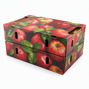 Bandeja de Cartón Corrugado Personalizada para Empaque de Aguacates, Caja de Exhibición de Fruta Fresca para Granjas, Empacadoras y Supermercados - Product Image 4