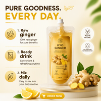 Pochette souple personnalisée avec bec verseur, en PE de qualité alimentaire, pour jus de gingembre et boissons liquides