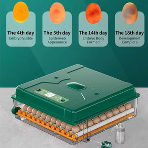 Incubatrice Automatica per 192 Uova di Gallina 220V/110V/12V, Macchina per la Schiusa di Uova di Quaglia, Anatra, Oca e Piccione - Product Image 6
