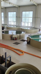 Apparatuur Voor Automatische Aquacultuursystemen Voor Visteelt Binnenshuis, Compleet Recirculerend Aquacultuursysteem Pp - Product Image 5