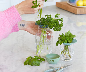Bocaux de jardin de qualité supérieure de style ferme pour herbes biologiques à la menthe Elixir aromatique rafraîchissant dans un <span class=keywords><strong>pot</strong></span> pour un usage domestique - Product Image 5