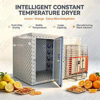 Intelligente constante temperatuur citroen- en sinaasappeldroger, citrusplakjes droogmachine, fruitchips drooginstallatie