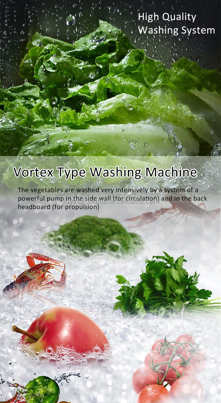 JIUYING 250L Multi-functional vegetable cleaning machine with full stainless steel washing tank
