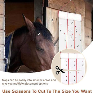 Pita Perekat Pembunuh Serangga Ramah Lingkungan dari PP Solid Dua Sisi untuk Pengendalian Hewan & Serangga - Product Image 4