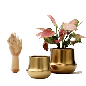 Juego de Macetas Modernas de Latón, Doradas, para Decoración de Interiores, Estilo Glamuroso - Product Image 2