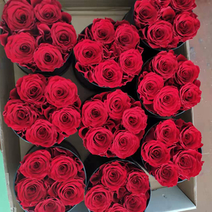 <span class=keywords><strong>Fleur</strong></span> Naturelle Éternelle de Haute Qualité, Rose Préservée Longue Durée en Boîte, Cadeau pour la Fête des Mères et la Saint-Valentin - Product Image 6