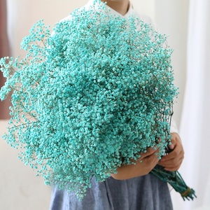 O-X296 رخيصة أسعار الجملة الصف المجففة زهرة Babysbreath السائبة الأبيض الوردي الطبيعي المجففة المحفوظة <span class=keywords><strong>Gypsophila</strong></span> زهرة - Product Image 5