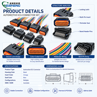 Connecteur automobile étanche multi-contacts OEM personnalisé IP68 pour faisceau de câblage de carte PCB, conforme RoHS