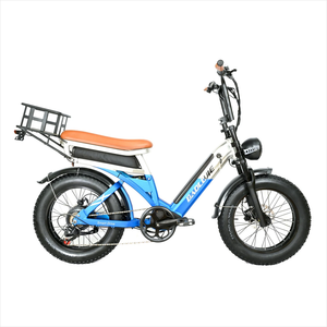 Vélo pour adultes BAOLUJIE PLJ2033, pneus larges 20 pouces, moteurs doubles 1500W/2000W, batterie au lithium 48V 30Ah, autonomie de 60 km, étanche IP54 - Product Image 1