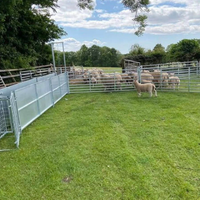 Panneaux de clôture pour bétail galvanisés à chaud, résistants aux intempéries, faciles à assembler, portables, pour enclos à moutons, pour la ferme
