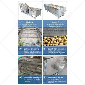 ORME Industrie Légumes Fruits Algues Nettoyeur Équipement Automatique Champignon Machine de Lavage pour Tomate Propre - Product Image 3