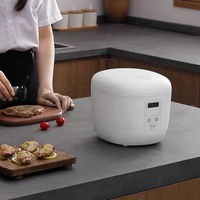 Fast Pot Multi Cookers Cuiseur à riz 2.0L avec minuterie numérique pour appareils de cuisine.