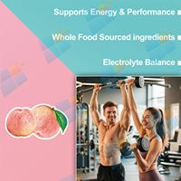 OEM/ODM – Sachets de poudre de boisson pré-entraînement électrolytique à la créatine, sans sucre, purement naturels, prix de gros, pour adultes