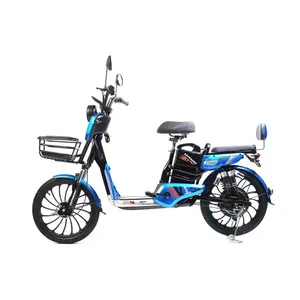 Sıcak satış yüksek kaliteli 20 inç 48V Basket Adult elektrikli bisiklet sepeti ile iyi bak elektrikli bisiklet yetişkin için