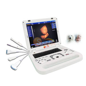 Diskon besar medis B/W Ultrasound 3D untuk gyne dan mesin obs untuk kehamilan - Product Image 1