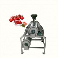 Professionele fabriek kleine pulp machine voor het aseptisch pulperen van groenten en fruit, mango puree in bulk