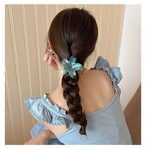 8cm New Color Transparent Flower <b>Hair</b> Clips Premium Frangipani <b>Hair</b> <b>Claw</b> With Card Flower Clip <b>Hair</b> Clip for Women Girls - Product Image 6