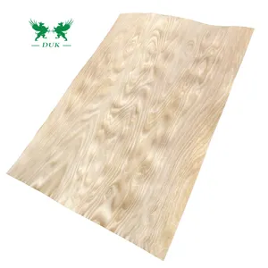 中国供应商山毛榉贴面18毫米杨木/桉树芯胶合板，用于家具/建筑