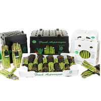 Cartonplast PP emballage en plastique Corflute ondulé plastique asperges artichoks légumes polypropylène boîte d'emballage de stockage
