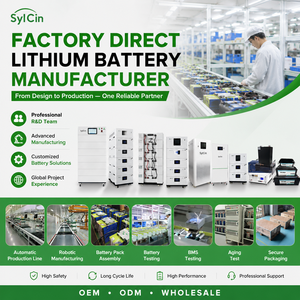 ชุดแบตเตอรี่แบบกำหนดเอง 24V 36V สำหรับการขับเคลื่อนและพลังงาน บริการ OEM ODM สำหรับรถยก รถกอล์ฟ เรือ - Product Image 4