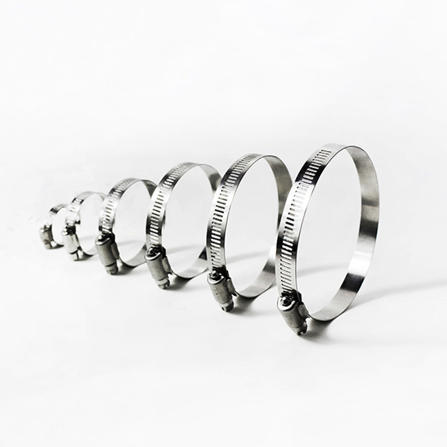 Germany Type Adjustable Stainless Steel Hose