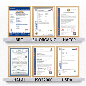 Vente en gros <span class=keywords><strong>de</strong></span> pâtes Konjac Shirataki Fettuccine hypocaloriques sans gluten à haute teneur en fibres provenant d'un fabricant d'aliments santé fiable - Product Image 2