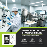 ODM/OEM Créatine monohydrate pure naturelle végétalienne, complément en poudre pour la croissance musculaire et la gestion de l'énergie avant l'entraînement, pour adultes, 500 g