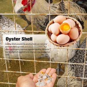 Coquilles d'huîtres concassées de 2 à 10 mm, aliment pour poulet, 1 lb (450 g/16 oz), contient du calcium, petites coquilles concassées naturelles en vrac - Product Image 5