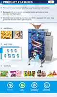 Machine d'emballage multifonctionnelle machine à remplir les formulaires machine à sceller les glaçons boulettes d'aliments surgelés machines d'emballage automatiques de fruits de mer