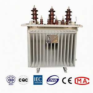 Transformateur immergé dans l'huile monophasé/triphasé haute efficacité S15 11kv 100kva pour l'irrigation agricole - Product Image 1