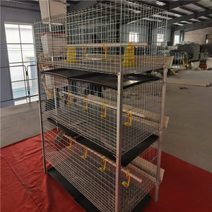 Nuova Gabbia per Polli da Carne Tipo H 2026, <span class=keywords><strong>3</strong></span> Livelli, 2 Porte, con Struttura per 72 Polli - Product Image 4