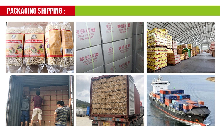 JOLION Home Cooking China Suppliers Shirataki Ko<i></i>njac Noodles Dried