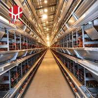 Système de cages à poules pondeuses automatiques de type H avancé, équipement d'élevage avicole en acier, cage à poules pondeuses de type H avec système d'abreuvement par tétine