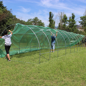 TLSP113 maison type haute tunnel de <span class=keywords><strong>plante</strong></span> d'agriculture étagères <span class=keywords><strong>pour</strong></span> polytunnel greenhouse-36m2 protégé contre les UV - Product Image 2