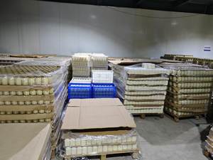 <span class=keywords><strong>Jalea</strong></span> <span class=keywords><strong>Real</strong></span> <span class=keywords><strong>Fresca</strong></span>, Certificada GMP, 100% Natural y Orgánica, Nueva Cosecha, Grado Alimenticio, Suplemento para la Salud, Líquido, Venta al Por Mayor, Alta Calidad - Product Image 5