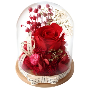 Artículos Esenciales para San Valentín 2026, Cúpula de Cristal con Rosa Preservada, Caja de Regalo para el Día de San Valentín, Decoración de Bodas, La <span class=keywords><strong>Bella</strong></span> <span class=keywords><strong>y</strong></span> la <span class=keywords><strong>Bestia</strong></span> - Product Image 1