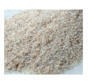Poudre d'extrait de psyllium en vrac en gros, psyllium 100% naturel et biologique, poudre de psyllium pure - Product Image 1