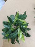 Karangan Bunga Daun Hijau Lei Hawaii Bunga Merah Muda Hula Hawaii Kalung Gaun Pesta Hiasan Kepala dan Ikat Rambut Karangan Bunga