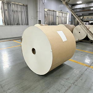 Rouleau de papier recyclable écologique enduit de PE, double face enduite, 150-320 GSM, largeur personnalisée pour l'emballage alimentaire à emporter - Product Image 6