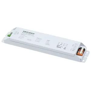 YSD Ip40 Tahan Air 60W 100W 200W 300W Dc 12V 24V Triac Pwm 0-10V 1-10V Dimming Dimmable Switching Power Supply